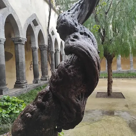 Il Tipo In The Heart Of Appartement *