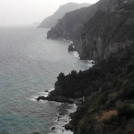 Il Tipo In The Heart Of