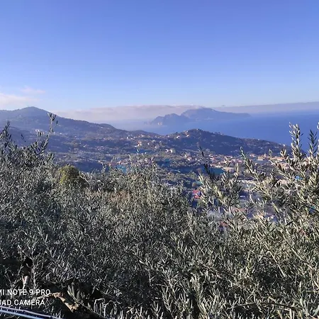 Il Tipo In The Heart Of *