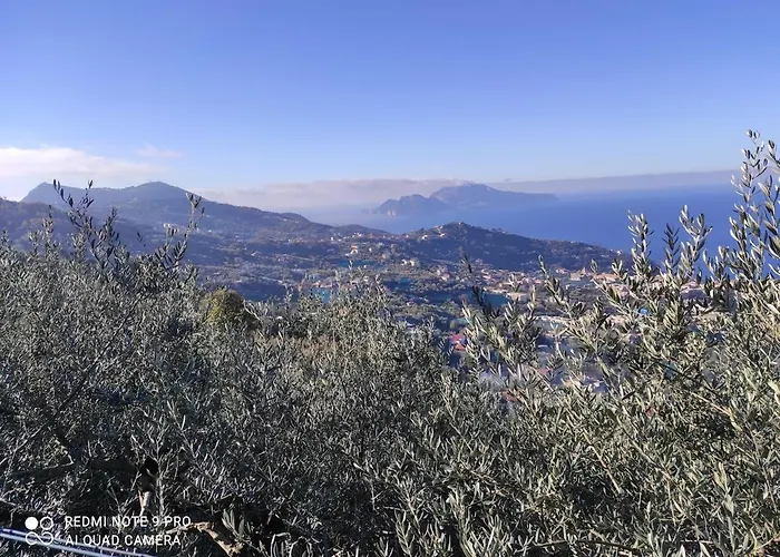 Il Tipo In The Heart Of *